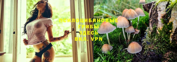 apvp Алексин