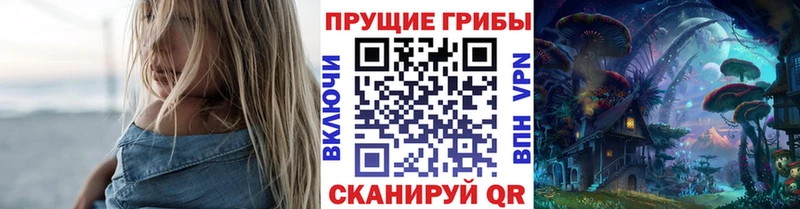 Псилоцибиновые грибы Cubensis  площадка клад  Чистополь  ОМГ ОМГ ONION 