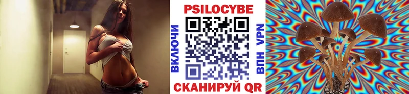Псилоцибиновые грибы Cubensis Чистополь