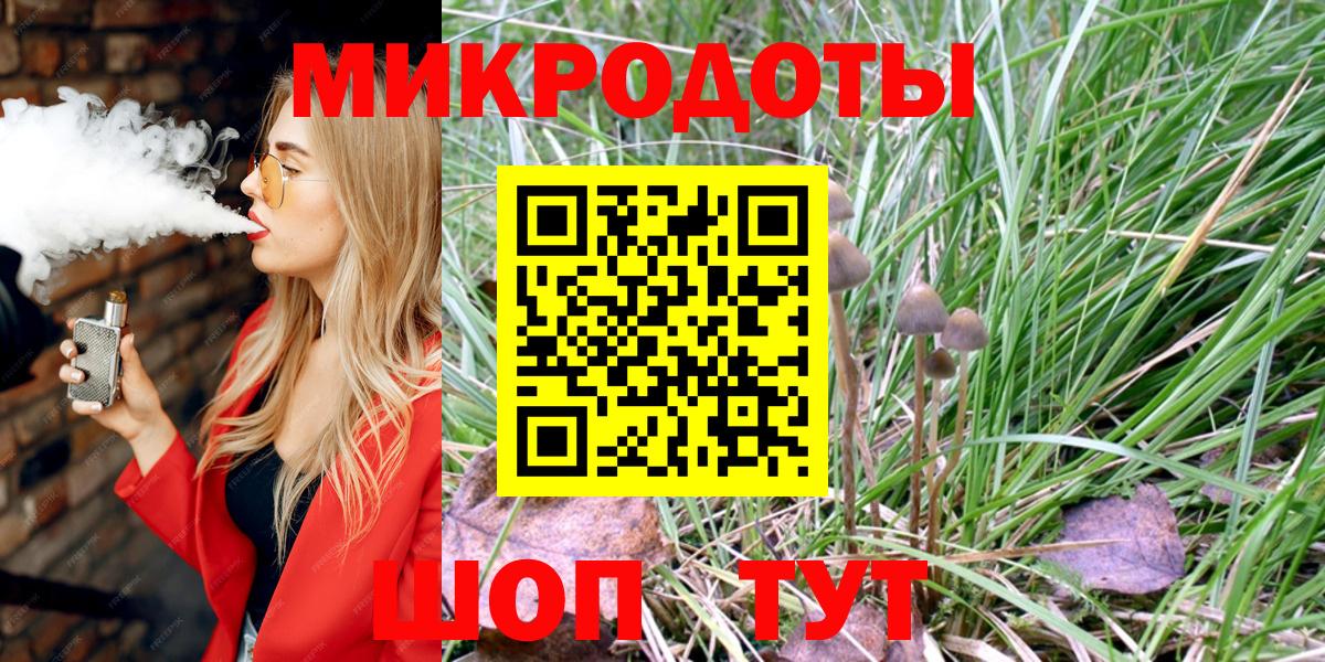 Псилоцибиновые грибы Psilocybine cubensis Чистополь